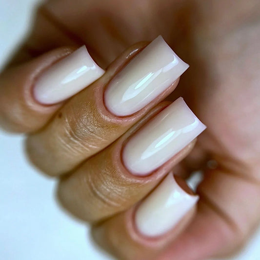 Honey Base - CHEESECAKE