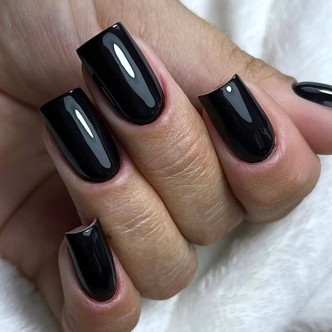 FORÊT NOIRE