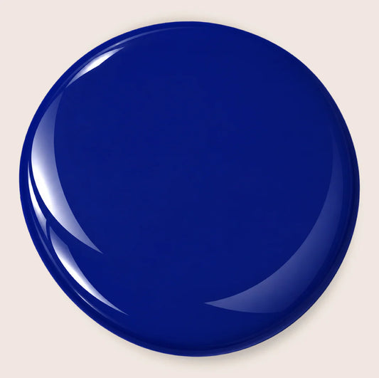 NEON NAVY